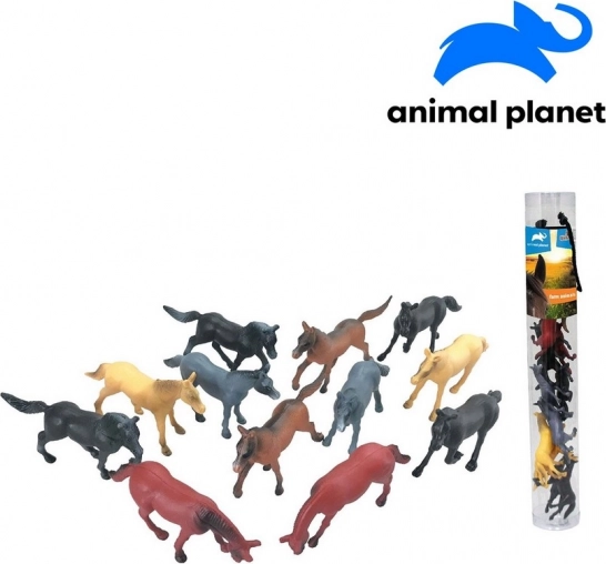 Animale în tub - Cai