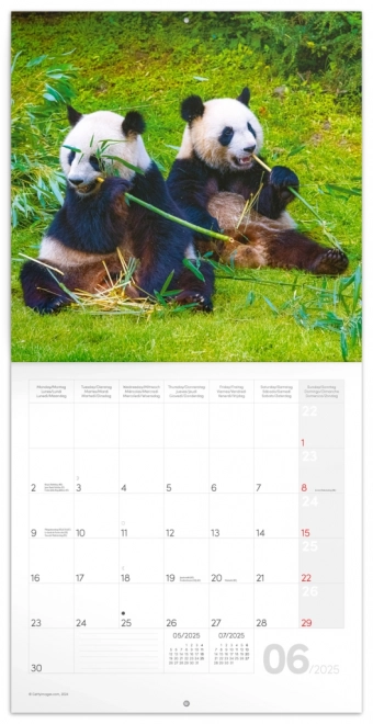 calendar de notițe panda 2025