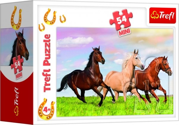 Motife frumoase cu cai