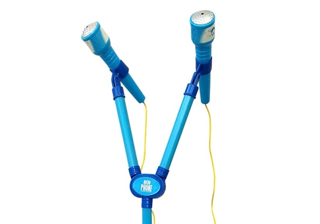 Două microfoane pentru duet și distracție împreună
