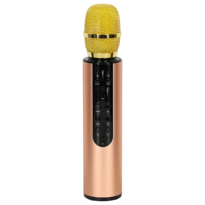 Microfon wireless de karaoke Bluetooth negru – Auriu