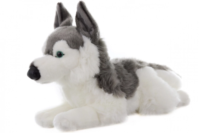 Husky de pluș 43 cm