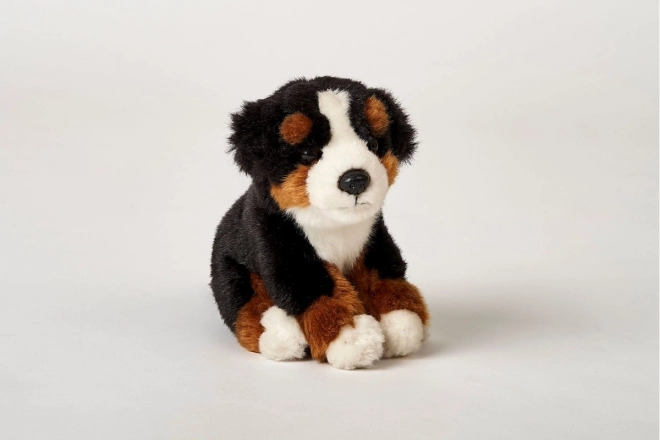 jucărie pluş câine Bernese de 16 cm