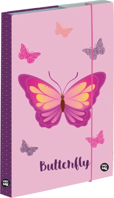 cutie A4 pentru caiete Motyl