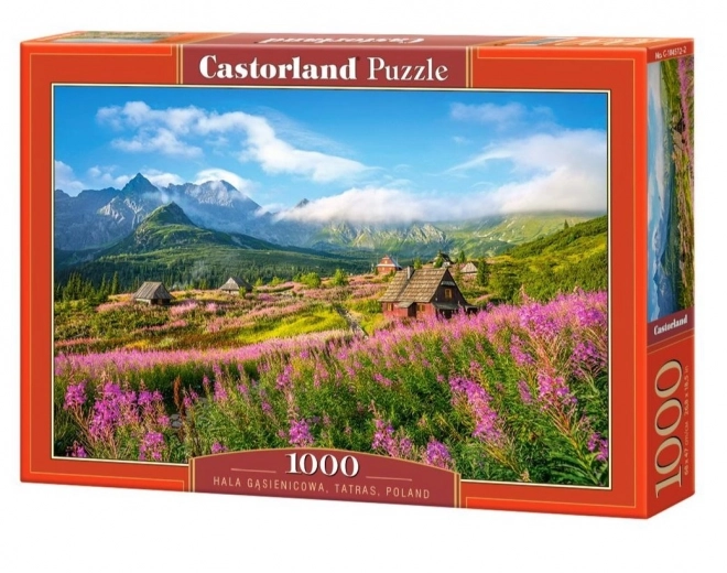 Puzzle 1000 piese hala Gąsienicowa, Tatra, Polonia