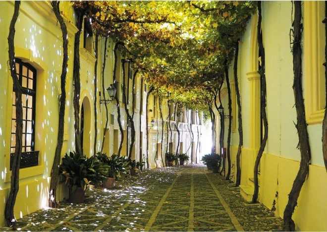 Piatnik puzzle Andalusian street 1000 piese