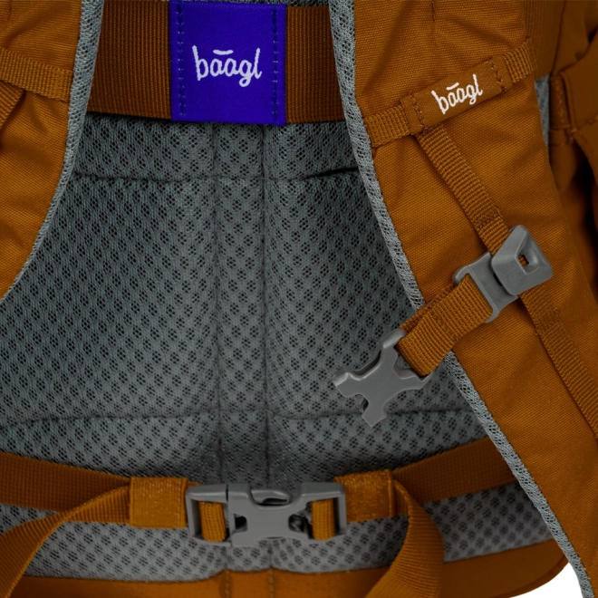 Rucsac BAAGL Dash Max Caramel GRS