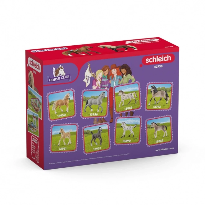 Set de start Horse Club Paso Peruvian