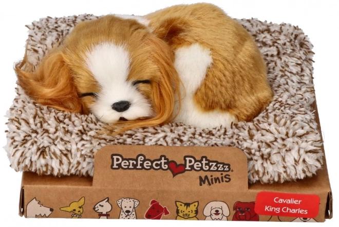 Cățeluș adormit Cavalier King Charles Perfect Petzzz