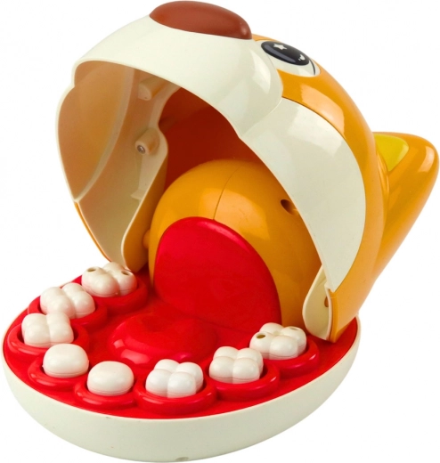 8 dinți detașabili și instrumente realiste