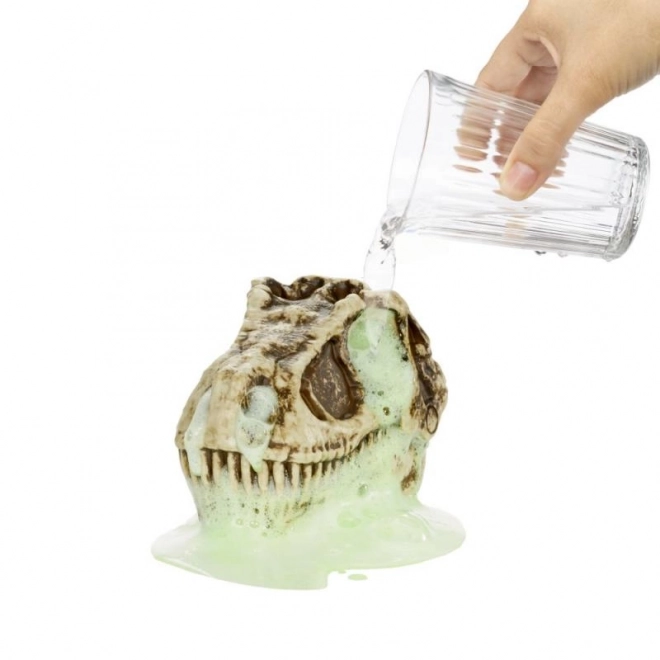 Craniu Dinosaurus Jucărie GrossMos Seria 1