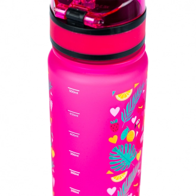 Sticlă de băut BAAGL Flamingo, 500 ml