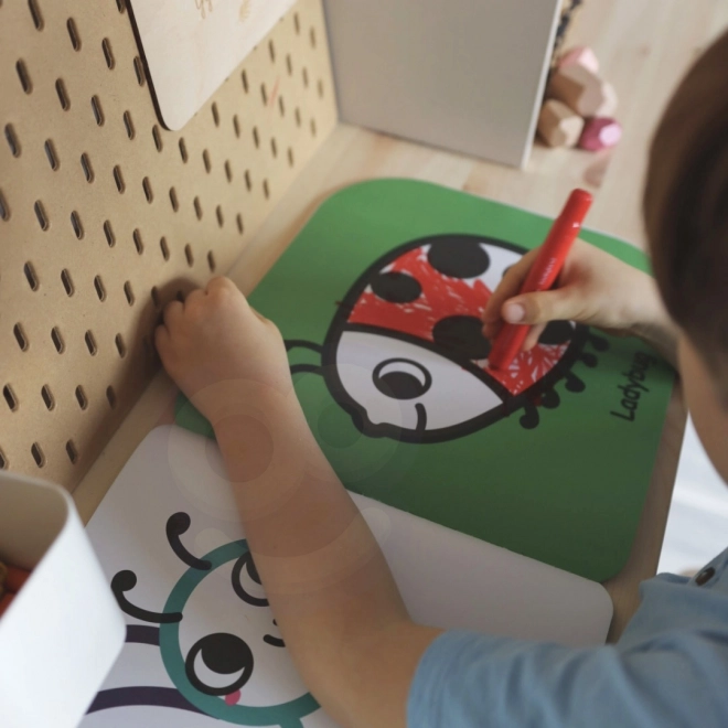 Pachet educațional Montessori 6 în 1 de la Tooky Toy