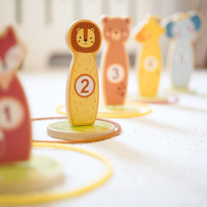 Joc de îndemânare cu cercuri Tooky Toy