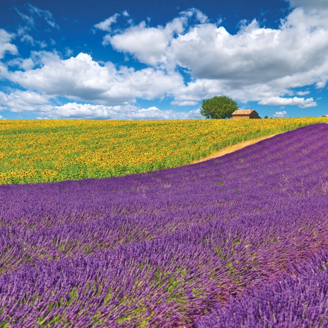 Calendar de notițe Provence 2026