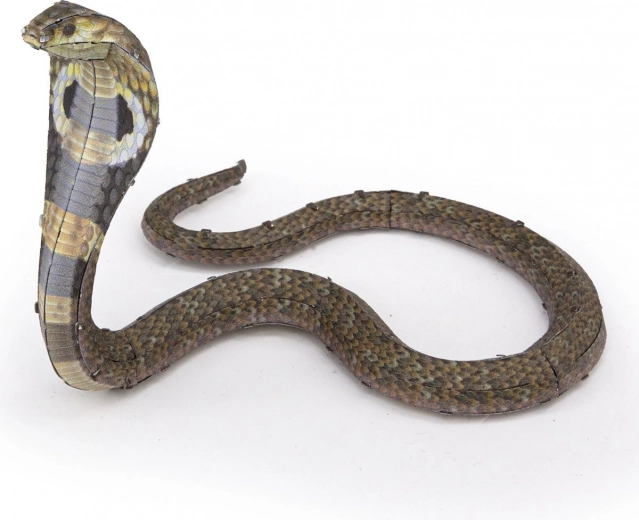 Poză flexibilă și expresivă a cobrei