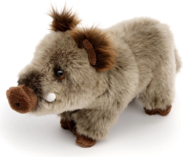 Detalii realiste ale mistrețului