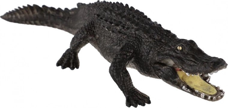 Plastic durabil și sigur