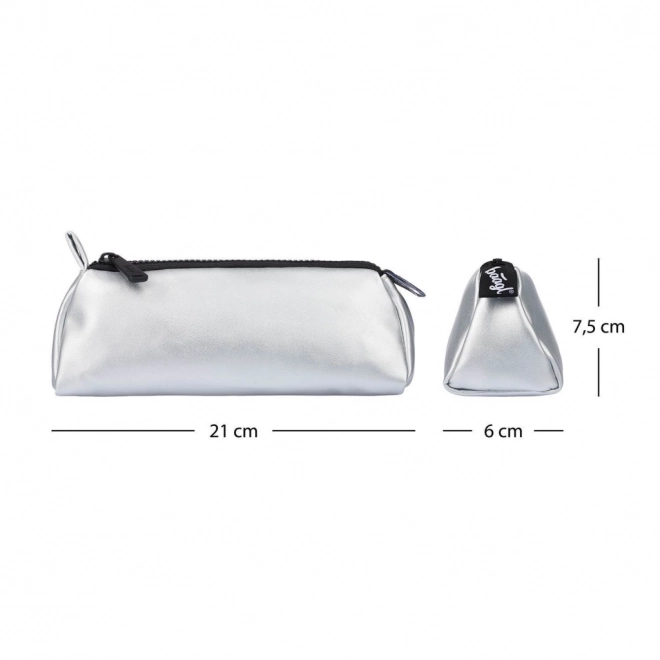 Etui de studenți Silver