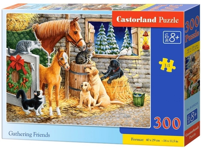 Puzzle Adunarea Prietenilor 300 piese