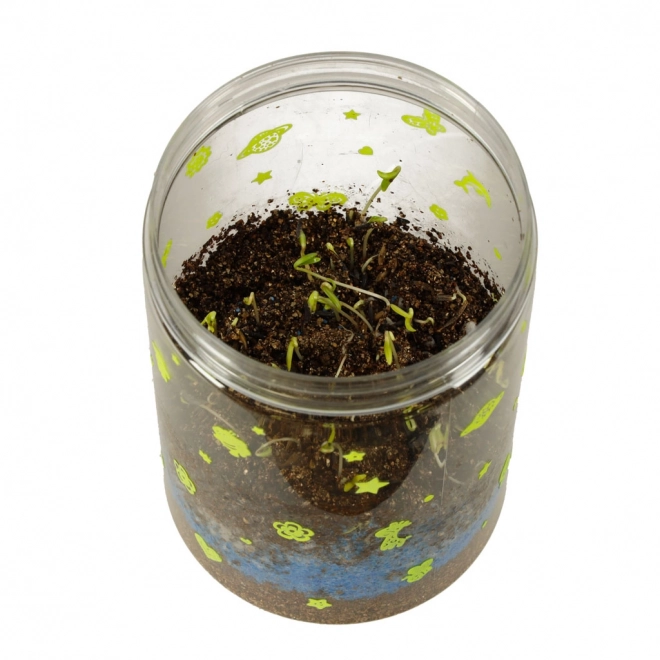 Terariu pentru cultivarea plantelor cu lampă LED și dinozauri