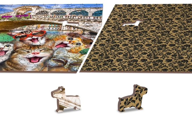Puzzle reversibil 2 în 1