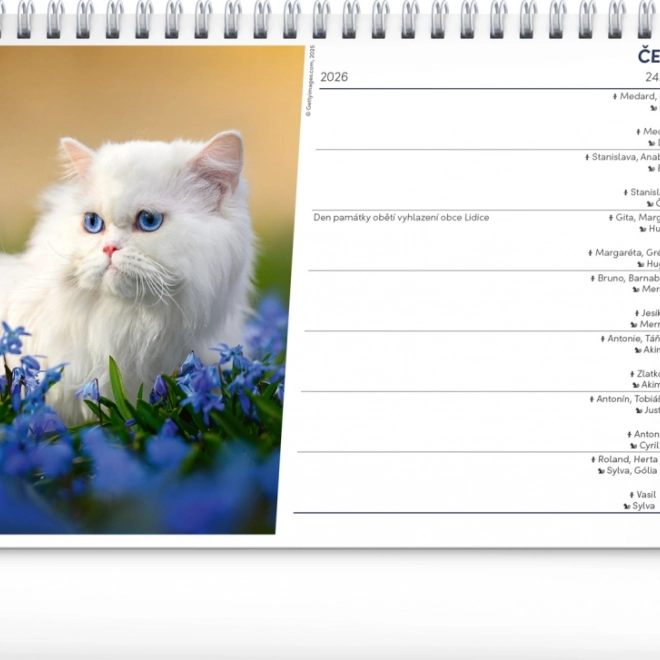 Calendar de birou Pisici CZ/SK 2026