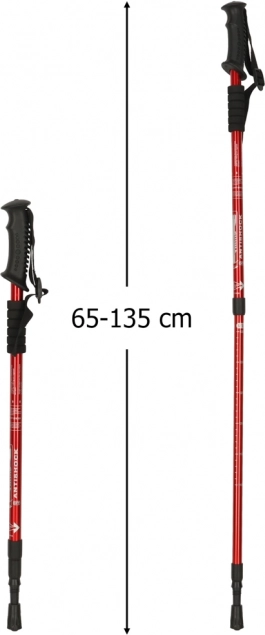Bețe de trekking pentru Nordic Walking, pliabile, 2 bucăți, roșii