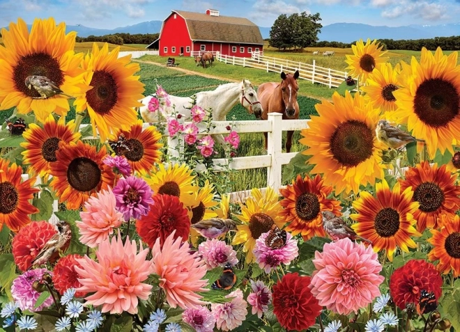 Puzzle Ferma Floarea-soarelui 1000 piese