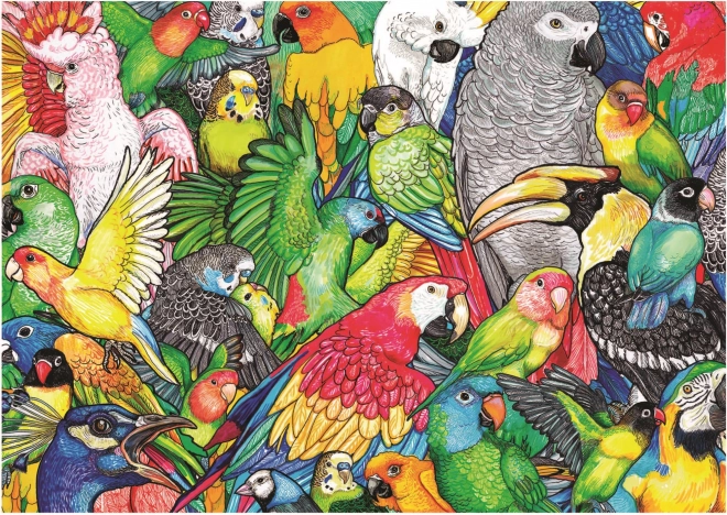 Puzzle Educa Papagali 500 piese