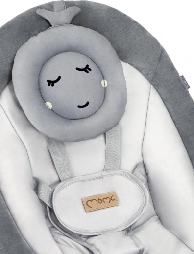 Șezut confortabil cu pernuță și centuri sigure