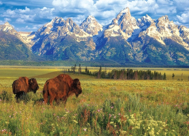 Puzzle Parcul Național Grand Teton 1000 piese