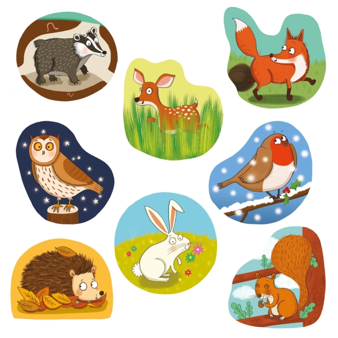 Ilustrații colorate ale animalelor din pădure