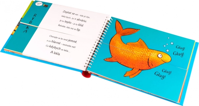 Jocuri amuzante acasă cu animăluțe