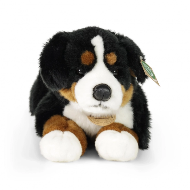 Pudel Bernese din pluș eco-friendly 44 cm
