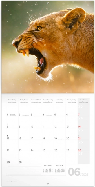 Calendar de notițe Animale sălbatice 2026
