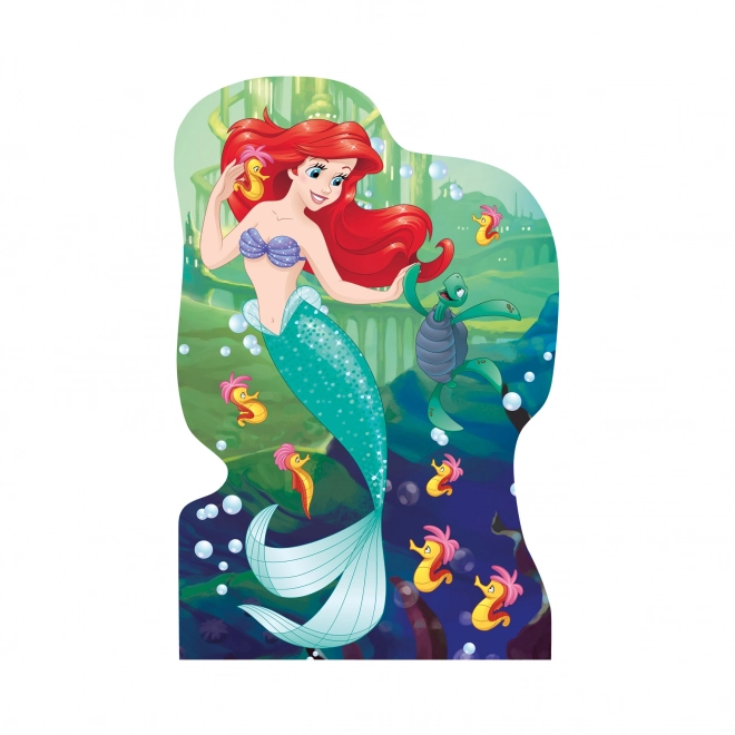 Puzzle contur Disney Prințese 4x54 piese