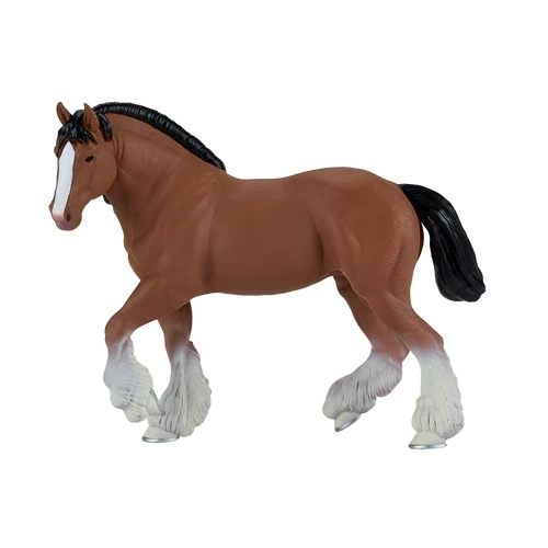 Cal Clydesdale Maro Mojo