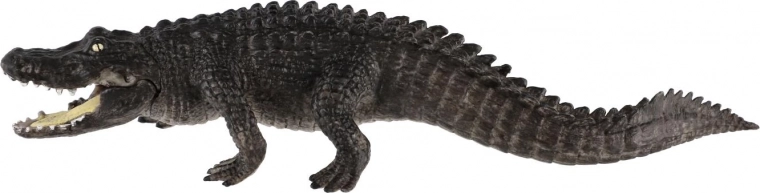 Ideală pentru educație și colecționare