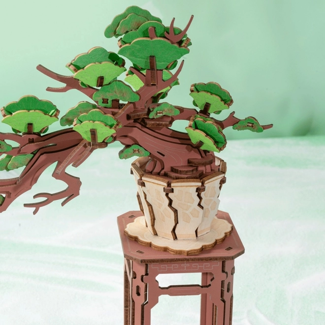 Puzzle 3D din lemn bonsai pin