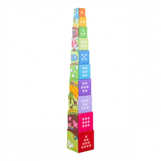 Cuburi educative ferma Bigjigs Toys