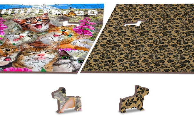 Puzzle reversibil 2 în 1