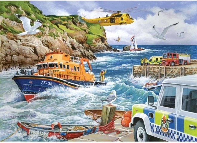 Puzzle Salvare 1000 piese
