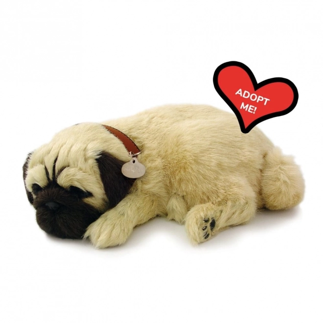Cățeluș Perfect Petzzz Mops Respirabil