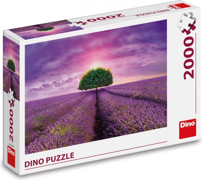 Puzzle Lavandă câmp 2000 piese