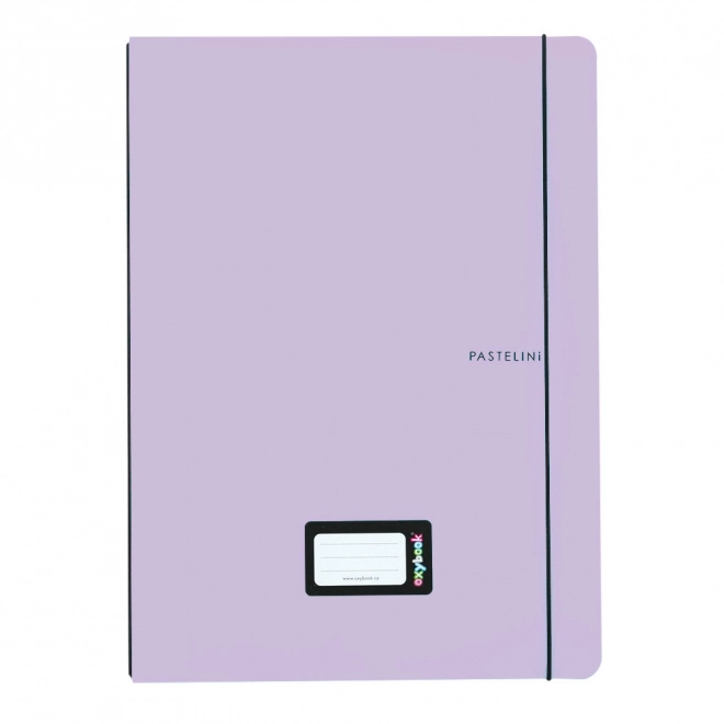 Caiet Pastelini A5 40 file violet