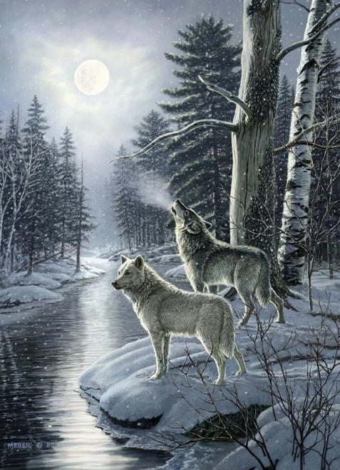 Puzzle lupii la miezul nopții 1000 piese