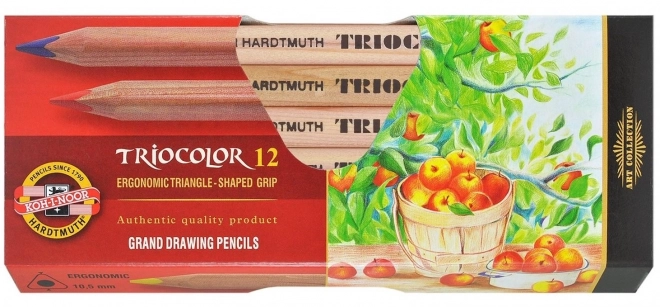 Pasteluri Triunghiulare Koh-i-noor Triocolor 12 Bucăți