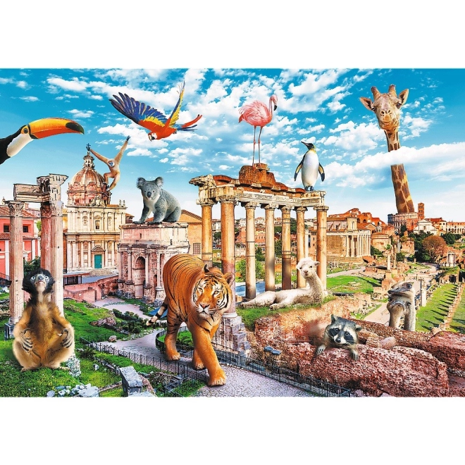 Motiv vesel: Roma plină de animale