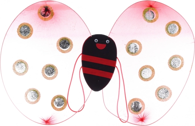 Aripi sclipitoare cu bretele confortabile